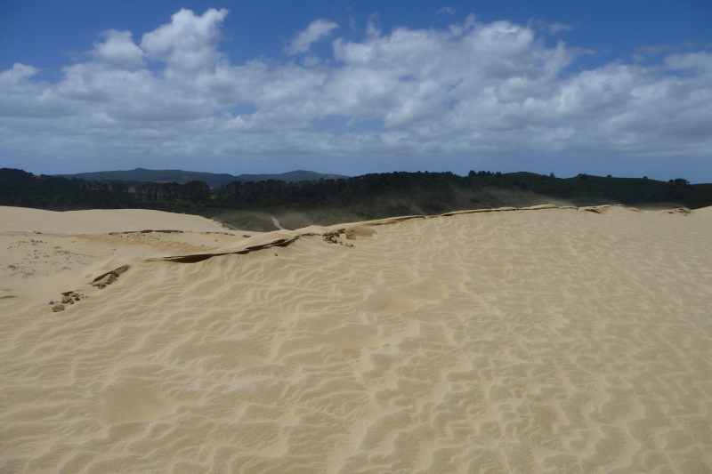 Nieuw-Zeeland 2011 - 0383